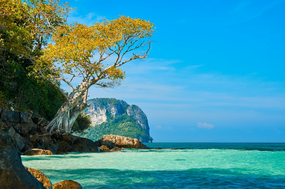 Hua Hin: green leafed trees and body of water**