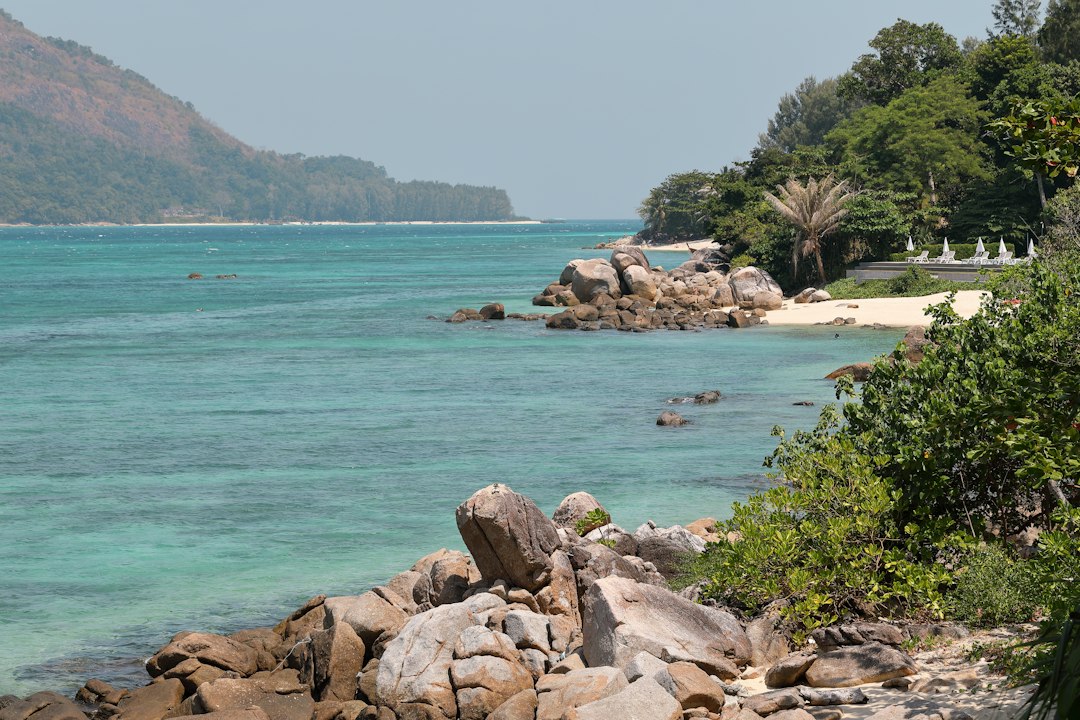 Koh Lipe: trees beside body of water during daytime**