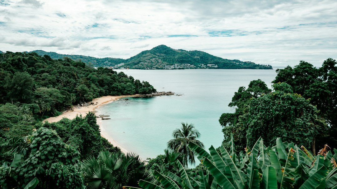 Koh Phangan: a beach surrounded by trees and a body of water**