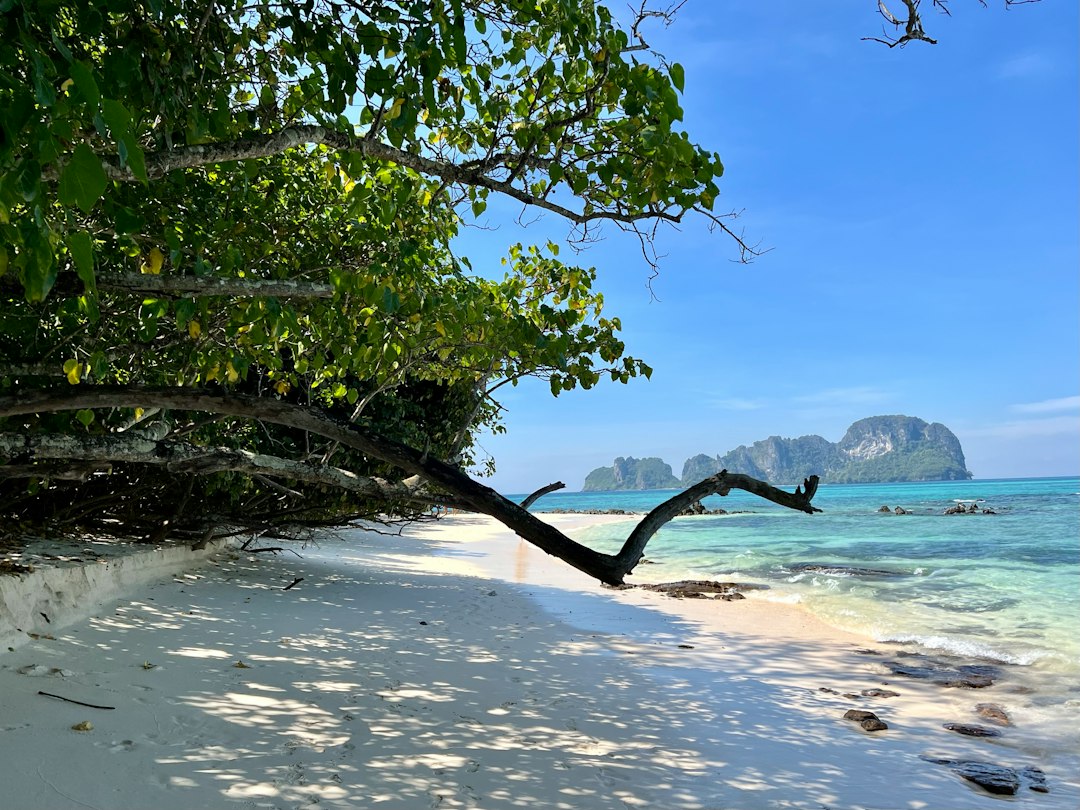 Koh Phi Phi: Bamboo island phi phi**