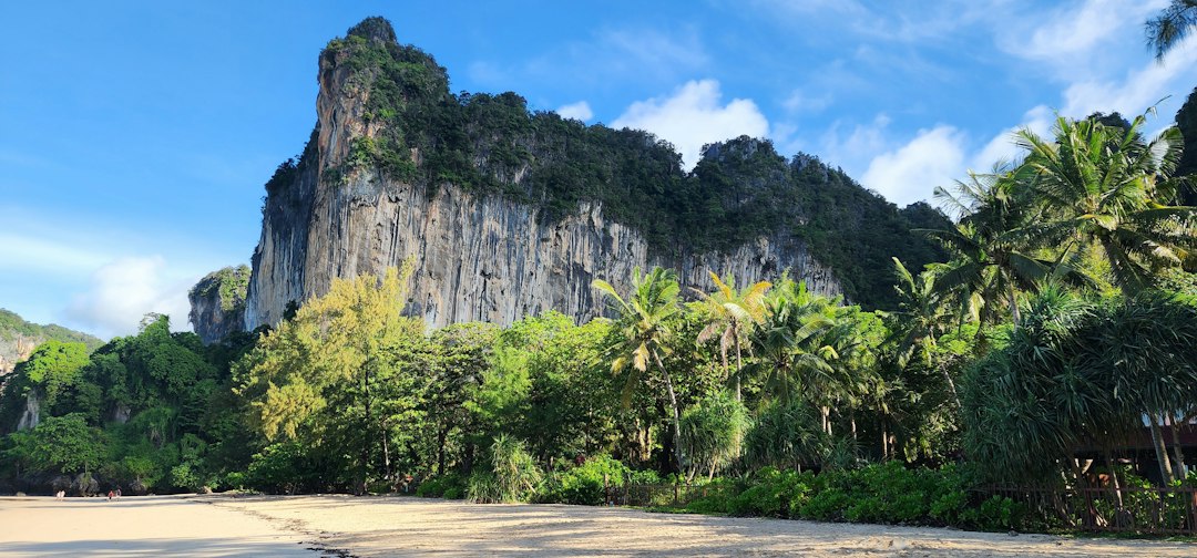 Krabi: Wide landscape shot of a quiet sandy shore lined with tropical palm trees and dense greenery, set against a massive sheer limestone cliff face under a bright blue sky.**